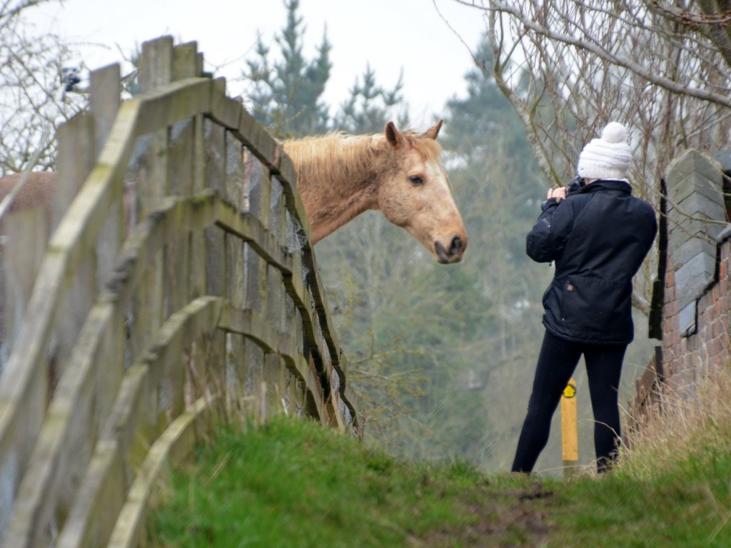 Beginners Photography Courses in Leicester & Leicestershire